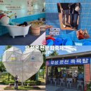 유림-13 | 대전 유림공원에서 펼쳐지는 2026 유성온천문화축제 주차정보, 꿀팁 첫날 생생한 후기