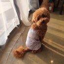 멍글몽글 이미지