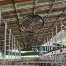 한우축사 이미지