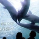 장생포고래로 이미지