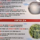 이선생 왕코다리 이미지