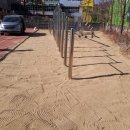 대구새론초등학교 이미지