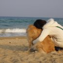 릴리네일 이미지