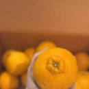 이상만농장 이미지