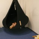 옥수동북카페 이미지