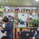 스타이용소 이미지