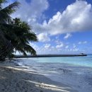 태전삼거리 교통섬 | 사이판 여행 마나가하섬 사이판렌트카 투어 하파다이 렌트카