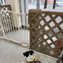 소담동물병원 이미지