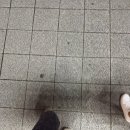 33인형뽑기 | 나고야 여행 1일차(황생가칼국수, 메이테츠 꿀팁, uoki 스시, 사카에 돈키호테, 사카에 인형뽑기)