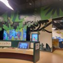 놀이터 존 이미지