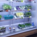 기분조은공인중개사사무소 이미지