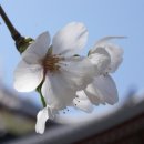 생활일본어 초급반 이미지