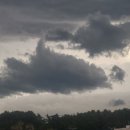 제주 서귀포 외돌개 이미지