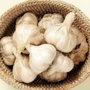 성구농장 이미지