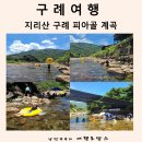 지리산민들레 | 지리산 계곡 추천 구례 피아골 계곡 민들레 여행 펜션