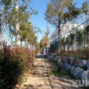 산단4로 이미지