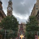 마틴플레이스 | 🎄 시드니 크리스마스 이벤트 후기 마틴플레이스 크리스마스 트리 & 세인트메리대성당 쇼 완전 정복
