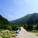 광원리 월둔교 이미지