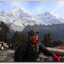 나마스떼 이미지