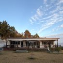 리틀미까사 이미지