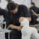 애견미용사 3급 자격증 과정 1 이미지