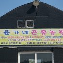 윤가네식품 이미지