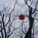 양도면-9 | 강화: 해가지는 마을길(나들길4코스)