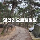 동부오토 | 태안캠핑장 추천 갯벌체험 가능한 청산리오토캠핑장 후기