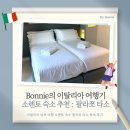 [이탈리아 여행] 소렌토 숙소 추천 : Palazzo Tasso 팔라쪼 타소 투숙 후기