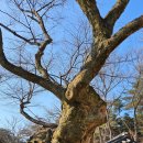 세종발효식품협동조합 이미지