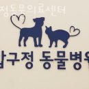 압구정 동물의료센터 이미지