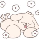 달콤한댕 이미지