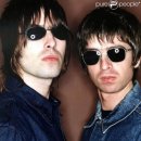 오아시스 이미지