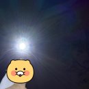 네일드초아 네이버블로그