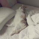손발꾸락 - 성남시 수정구 산성대로 262-2 | 손발꾸락