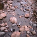 지리산대포마을 이미지