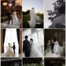 김태우 | W8. 대구 본식 스냅 업체 고르기 / 계약 후기(김태우 포토)