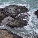 봄나드리투어 이미지