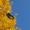 경주분식 이미지