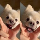 겟풀(GETPOOL) 이미지