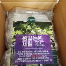 원일농원 이미지