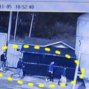 진수농장 이미지