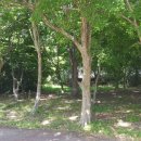 가루실 캠프 이미지