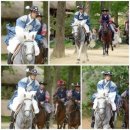 비밀의 문 이미지