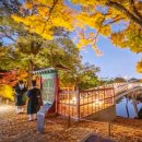 별빛처럼 이미지