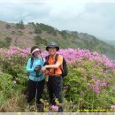 한물결의원 이미지