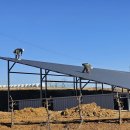 미래 태양광발전소 이미지