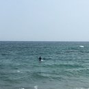 더드림 하우스 펜션 이미지