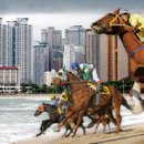 경주파라다이스 이미지