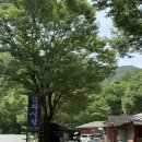 금화애견 | 구미 근교 가볼 만한 곳 금화계곡 계곡 식당 애견 동반 가능 가산 금화 식당